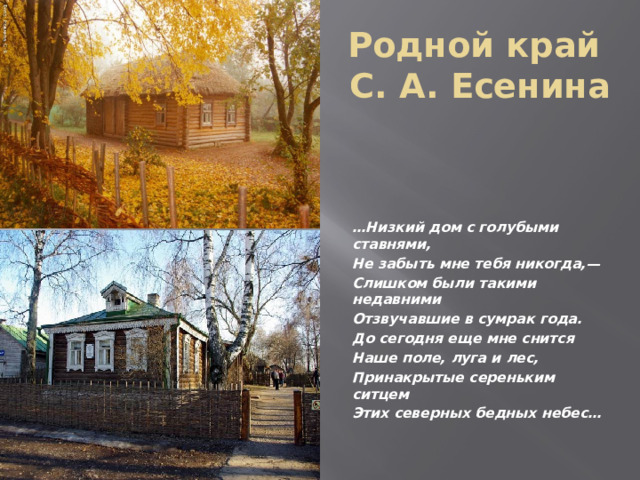 Родной край  С. А. Есенина   … Низкий дом с голубыми ставнями, Не забыть мне тебя никогда,— Слишком были такими недавними Отзвучавшие в сумрак года. До сегодня еще мне снится Наше поле, луга и лес, Принакрытые сереньким ситцем Этих северных бедных небес… 