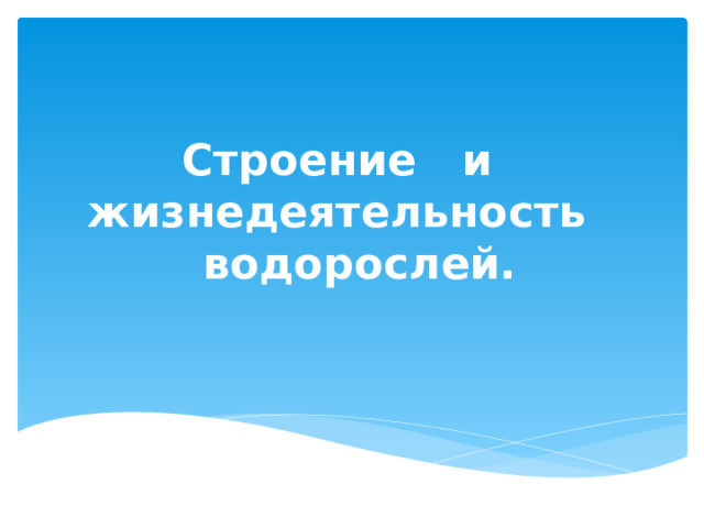 Строение и жизнедеятельность  водо­рослей. 