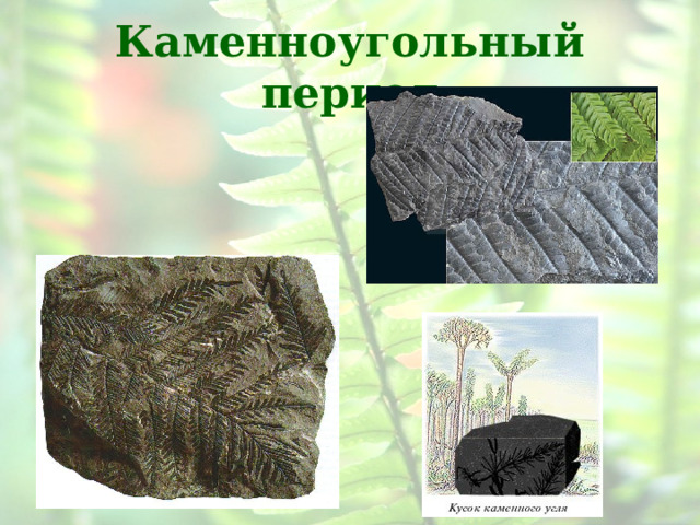 Каменноугольный период 