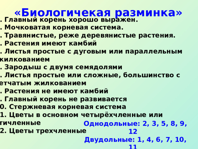  «Биологичекая разминка» 1. Главный корень хорошо выражен. 2. Мочковатая корневая система. 3. Травянистые, реже деревянистые растения. 4. Растения имеют камбий 5. Листья простые с дуговым или параллельным  жилкованием 6. Зародыш с двумя семядолями 7. Листья простые или сложные, большинство с сетчатым жилкованием 8. Растения не имеют камбий 9. Главный корень не развивается 10. Стержневая корневая система 11. Цветы в основном четырёхчленные или пятичленные 12. Цветы трехчленные Однодольные: 2, 3, 5, 8, 9, 12 Двудольные: 1, 4, 6, 7, 10, 11 