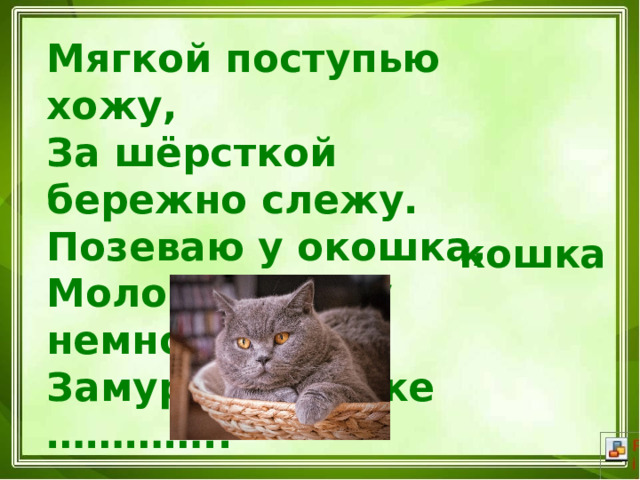 Мягкой поступью хожу, За шёрсткой бережно слежу. Позеваю у окошка, Молочка лизну немножко, Замурлычу, я же ………….. кошка 