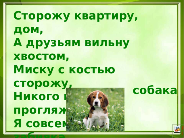 Сторожу квартиру, дом, А друзьям вильну хвостом, Миску с костью сторожу, Никого не прогляжу. Я совсем не забияка Ваша верная …………….. собака 