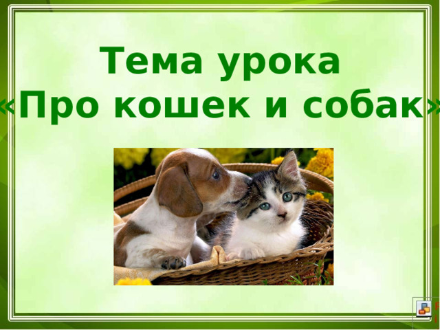 Тема урока «Про кошек и собак» 