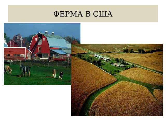 ФЕРМА В США 