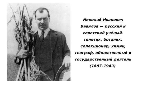 Николай Иванович Вавилов — русский и советский учёный-генетик, ботаник, селекционер, химик, географ, общественный и государственный деятель  (1887–1943) 