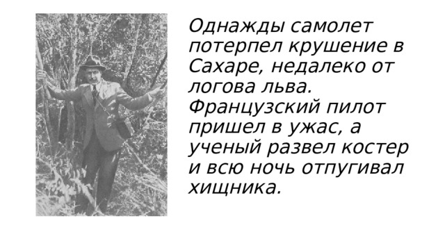 Однажды самолет потерпел крушение в Сахаре, недалеко от логова льва. Французский пилот пришел в ужас, а ученый развел костер и всю ночь отпугивал хищника. 