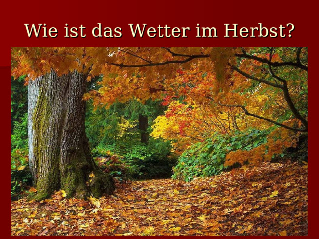 Wie ist das Wetter im Herbst? 