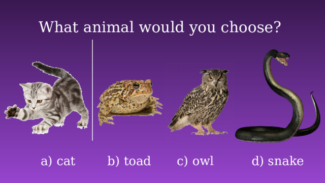 What animal would you choose? d) snake b) toad a) cat c) owl 