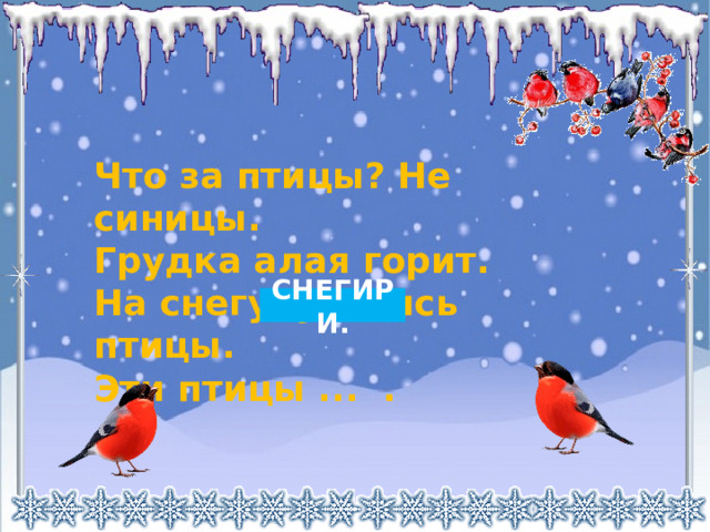 Что за птицы? Не синицы.  Грудка алая горит.  На снегу  уселись птицы.  Эти птицы ... . СНЕГИРИ. 