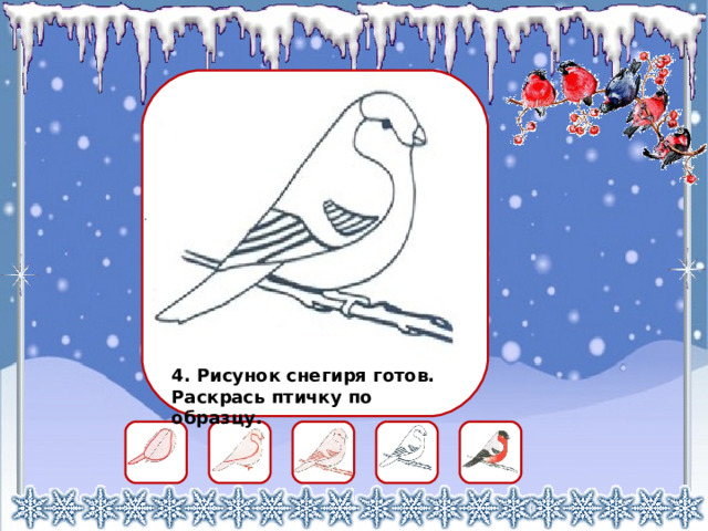 4. Рисунок снегиря готов. Раскрась птичку по образцу. 