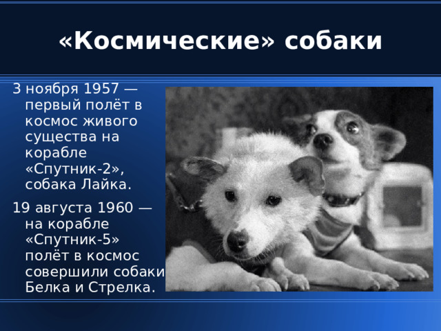 3 ноября 1957 — первый полёт в космос живого существа на корабле «Спутник-2», собака Лайка. 19 августа 1960 — на корабле «Спутник-5» полёт в космос совершили собаки Белка и Стрелка. 