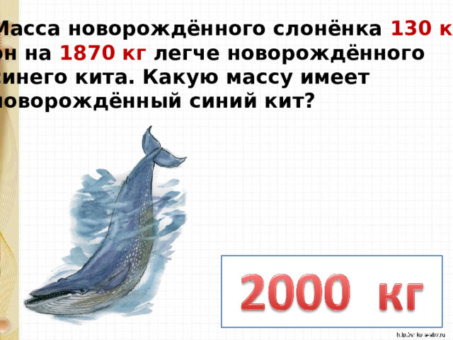 Масса новорождённого слонёнка 130 кг , он на 1870 кг легче новорождённого синего кита. Какую массу имеет новорождённый синий кит? 