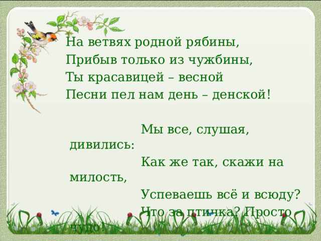  На ветвях родной рябины,  Прибыв только из чужбины,  Ты красавицей – весной  Песни пел нам день – денской!    Мы все, слушая, дивились:  Как же так, скажи на милость,  Успеваешь всё и всюду?  Что за птичка? Просто чудо!  