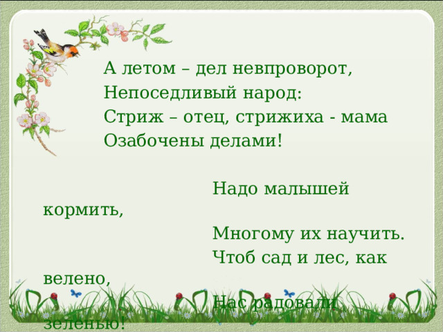  А летом – дел невпроворот,  Непоседливый народ:  Стриж – отец, стрижиха - мама  Озабочены делами!    Надо малышей кормить,  Многому их научить.  Чтоб сад и лес, как велено,  Нас радовали зеленью! 