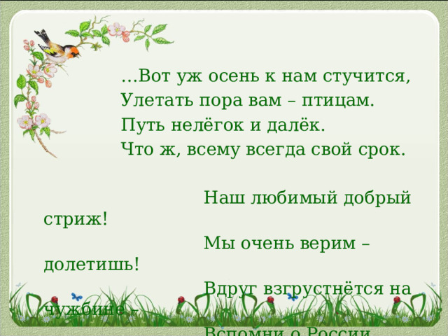 … Вот уж осень к нам стучится,  Улетать пора вам – птицам.  Путь нелёгок и далёк.  Что ж, всему всегда свой срок.    Наш любимый добрый стриж!  Мы очень верим – долетишь!  Вдруг взгрустнётся на чужбине –  Вспомни о России милой. 