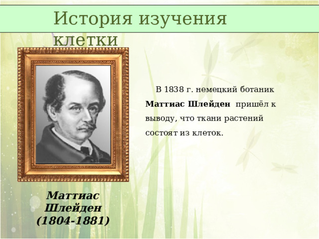 История изучения клетки  В 1838 г. немецкий ботаник Маттиас Шлейден пришёл к выводу, что ткани растений состоят из клеток. Маттиас Шлейден (1804-1881) 