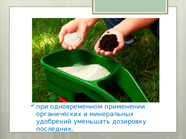 при одновременном применении органических и минеральных удобрений уменьшать дозировку последних. 
