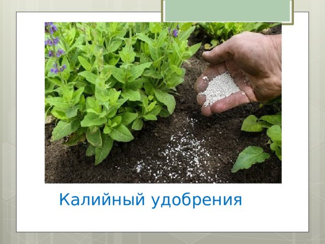 Калийный удобрения 