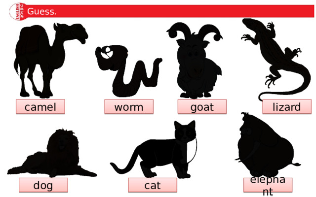 Guess. goat lizard camel worm dog cat elephant  