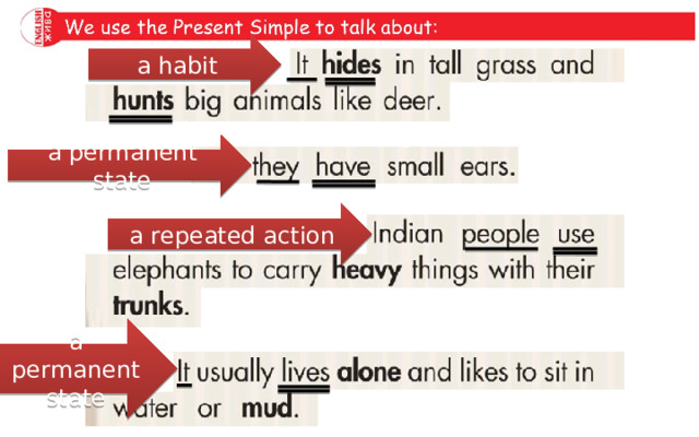 Read these sentences. Underline the subject and the predicate. a habit a permanent state a repeated action a permanent state 
