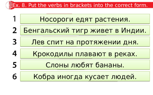 Ex. 8. Put the verbs in brackets into the correct form. eat Носороги едят растения. lives Бенгальский тигр живет в Индии. sleeps Лев спит на протяжении дня. swim Крокодилы плавают в реках. like Слоны любят бананы. bites Кобра иногда кусает людей. 