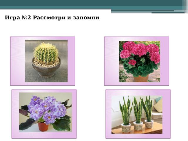Игра №2 Рассмотри и запомни 