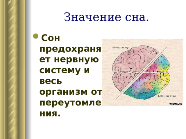 Значение сна. Сон предохраняет нервную систему и весь организм от переутомления. 