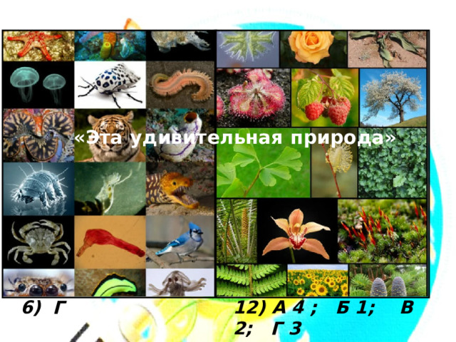 ОТВЕТЫ 1) В 7) В   2) А 8) Б   9) Б 3) Г   Б А   Б 11) А   6) Г 12) А 4 ; Б 1; В 2; Г 3   «Эта удивительная природа»   