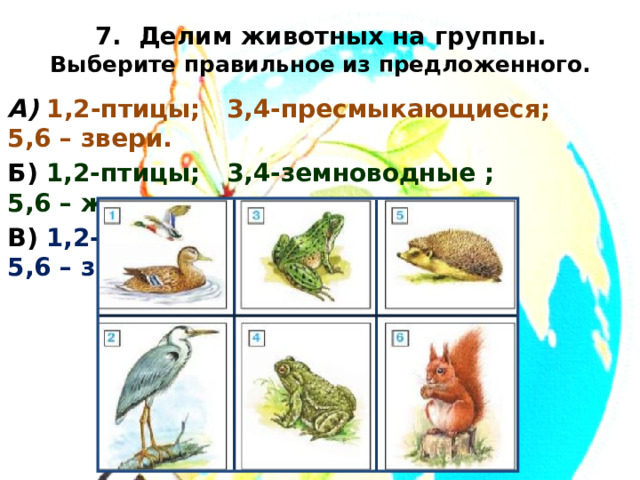 7. Делим животных на группы.  Выберите правильное из предложенного. А) 1,2-птицы; 3,4-пресмыкающиеся; 5,6 – звери. Б) 1,2-птицы; 3,4-земноводные ; 5,6 – животные. В) 1,2-птицы; 3,4-земноводные; 5,6 – звери. 