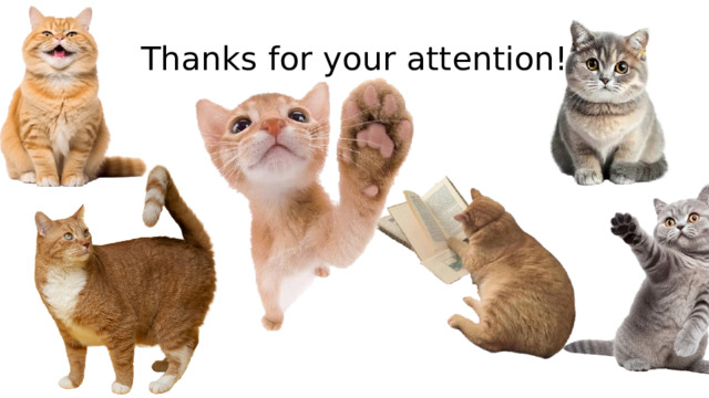 Thanks for your attention! 