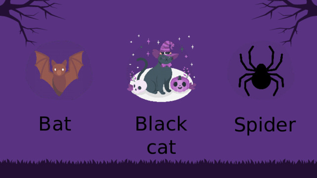 Bat Black  cat Spider 