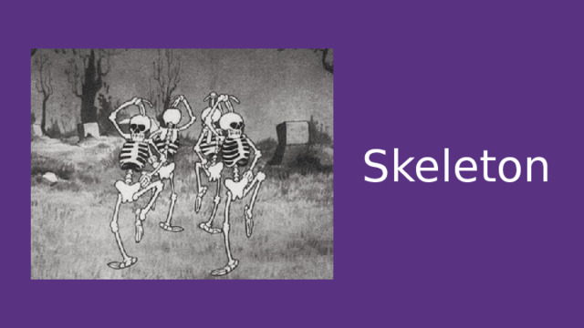 Skeleton 