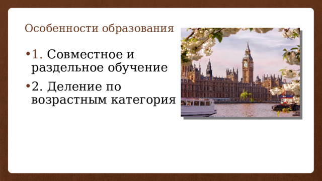 Особенности образования 1. Совместное и раздельное обучение 2. Деление по возрастным категория 