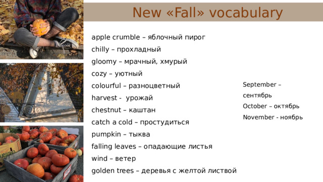 New « Fall »  vocabulary apple crumble – яблочный пирог chilly – прохладный gloomy – мрачный, хмурый cozy – уютный colourful – разноцветный harvest - урожай chestnut – каштан catch a cold – простудиться pumpkin – тыква falling leaves – опадающие листья wind – ветер golden trees – деревья с желтой листвой September – сентябрь October – октябрь November - ноябрь 