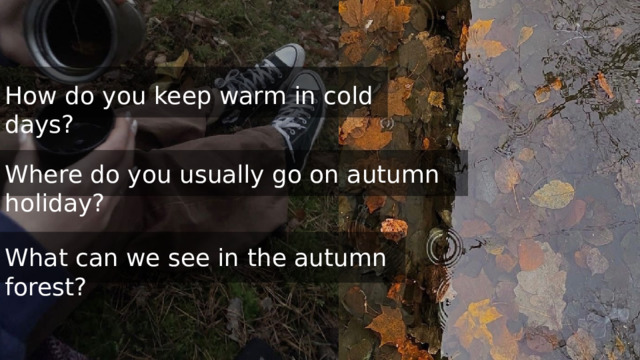 How do you keep warm in cold days? Where do you usually go on autumn holiday? What can we see in the autumn forest? 