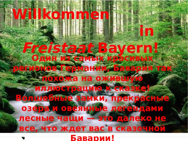 Willkommen in Freistaat Bayern! Один из самых красивых регионов Германии, Бавария так похожа на ожившую иллюстрацию к сказке! Волшебные замки, прекрасные озера и овеянные легендами лесные чащи — это далеко не все, что ждет вас в сказочной Баварии! 