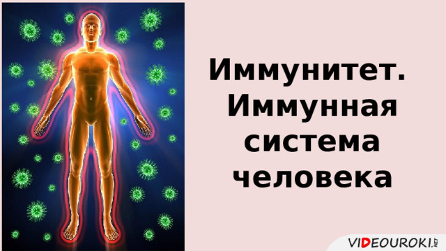 Иммунитет. Иммунная система человека 