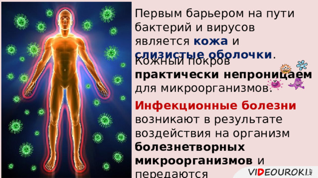 Первым барьером на пути бактерий и вирусов является кожа и слизистые оболочки . Кожный покров практически непроницаем для микроорганизмов. Инфекционные болезни возникают в результате воздействия на организм болезнетворных микроорганизмов и передаются от человека к человеку. 