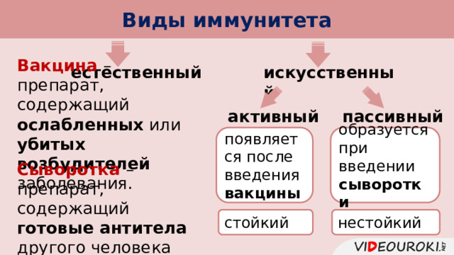 Виды иммунитета     Вакцина – препарат, содержащий ослабленных или убитых возбудителей заболевания. искусственный естественный активный пассивный появляется после введения вакцины образуется при введении сыворотки Сыворотка – препарат, содержащий готовые антитела другого человека или животного. стойкий нестойкий 