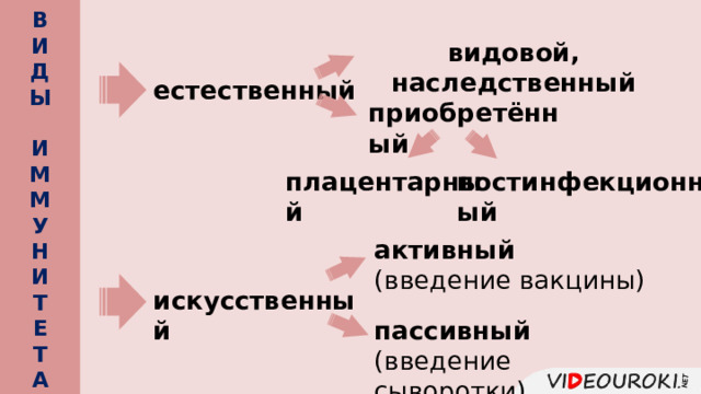  В И Д Ы  И М М У Н И Т Е Т А        видовой, наследственный  естественный приобретённый плацентарный постинфекционный активный (введение вакцины)  искусственный пассивный (введение сыворотки) 