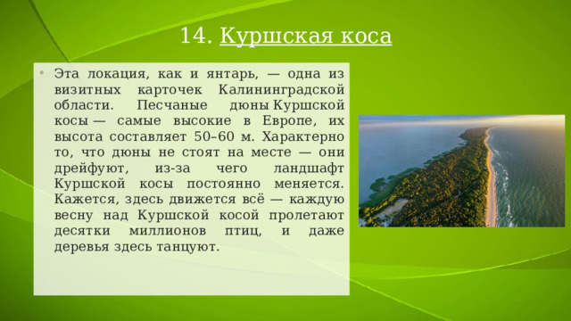 14. Куршская коса Эта локация, как и янтарь, — одна из визитных карточек Калининградской области. Песчаные дюны Куршской косы — самые высокие в Европе, их высота составляет 50–60 м. Характерно то, что дюны не стоят на месте — они дрейфуют, из-за чего ландшафт Куршской косы постоянно меняется. Кажется, здесь движется всё — каждую весну над Куршской косой пролетают десятки миллионов птиц, и даже деревья здесь танцуют. 