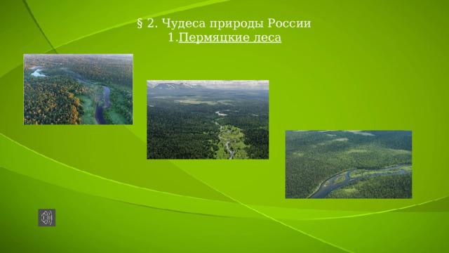 § 2. Чудеса природы России  1. Пермяцкие леса 
