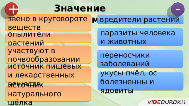 - + : Значение насекомых звено в круговороте веществ вредители растений паразиты человека и животных опылители растений участвуют в почвообразовании переносчики заболеваний источник пищевых и лекарственных веществ укусы пчёл, ос болезненны и ядовиты источник натурального шёлка 
