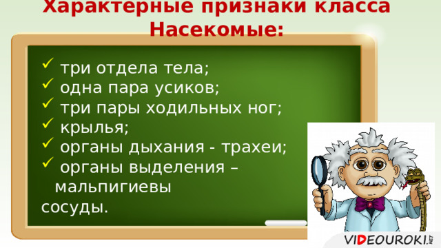 Характерные признаки класса Насекомые:  три отдела тела;  одна пара усиков;  три пары ходильных ног;  крылья;  органы дыхания - трахеи;  органы выделения – мальпигиевы сосуды. 