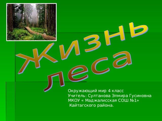 Окружающий мир 4 класс Учитель: Султанова Элмира Гусиновна МКОУ « Маджалисская СОШ №1»  Кайтагского района. 