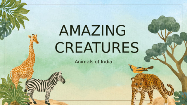  AMAZING CREATURES Animals of India 