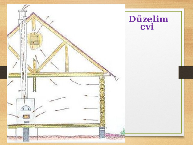 Düzelim evi   