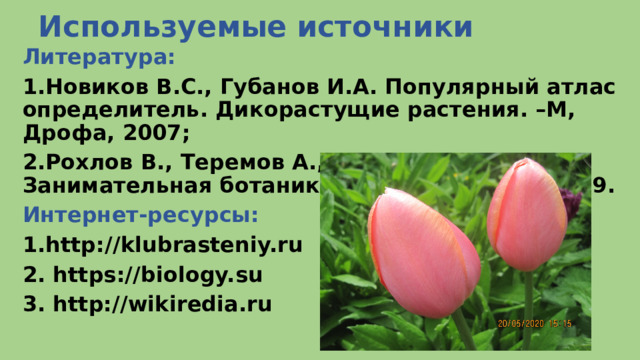 Используемые источники Литература: 1.Новиков В.С., Губанов И.А. Популярный атлас определитель. Дикорастущие растения. –М, Дрофа, 2007; 2.Рохлов В., Теремов А., Петросова Р. Занимательная ботаника. –М, АСТ-ПРЕСС, 1999. Интернет-ресурсы: 1.http://klubrasteniy.ru 2. https://biology.su 3. http://wikiredia.ru  