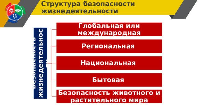 Безопасность жизнедеятельности Структура безопасности жизнедеятельности Глобальная или международная Региональная  Национальная  Бытовая  Безопасность животного и растительного мира 