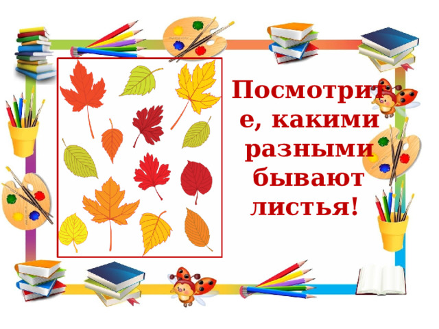 Посмотрите, какими разными бывают листья! 